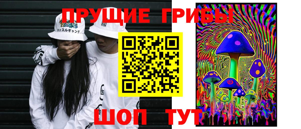 Галлюциногенные грибы Psilocybe Дзержинский