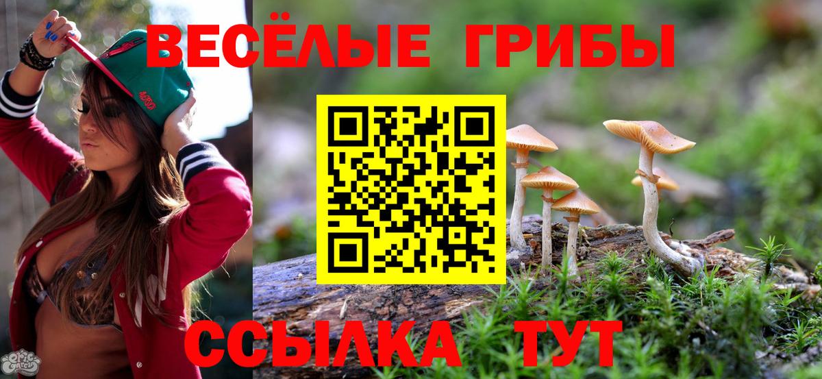 Галлюциногенные грибы Cubensis  Вход с VPN  Дзержинский 
